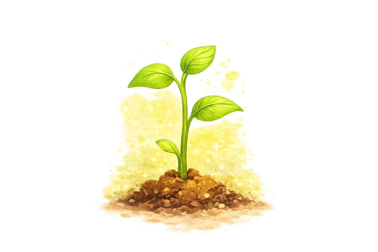 A young green plant growing